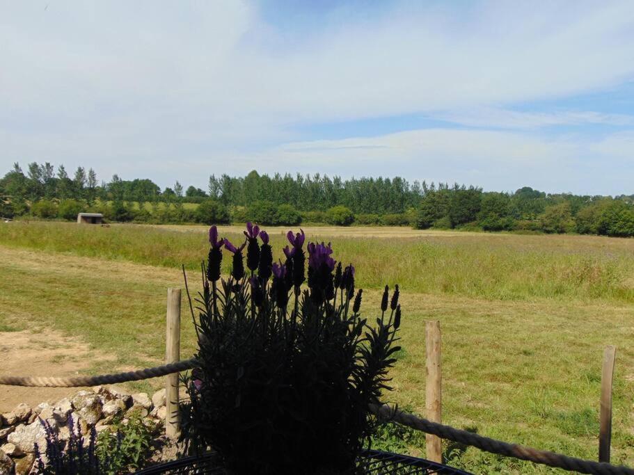 Вилла Secret & Secluded Sedlescombe Баттл Экстерьер фото