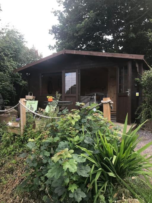 Вилла Secret & Secluded Sedlescombe Баттл Экстерьер фото